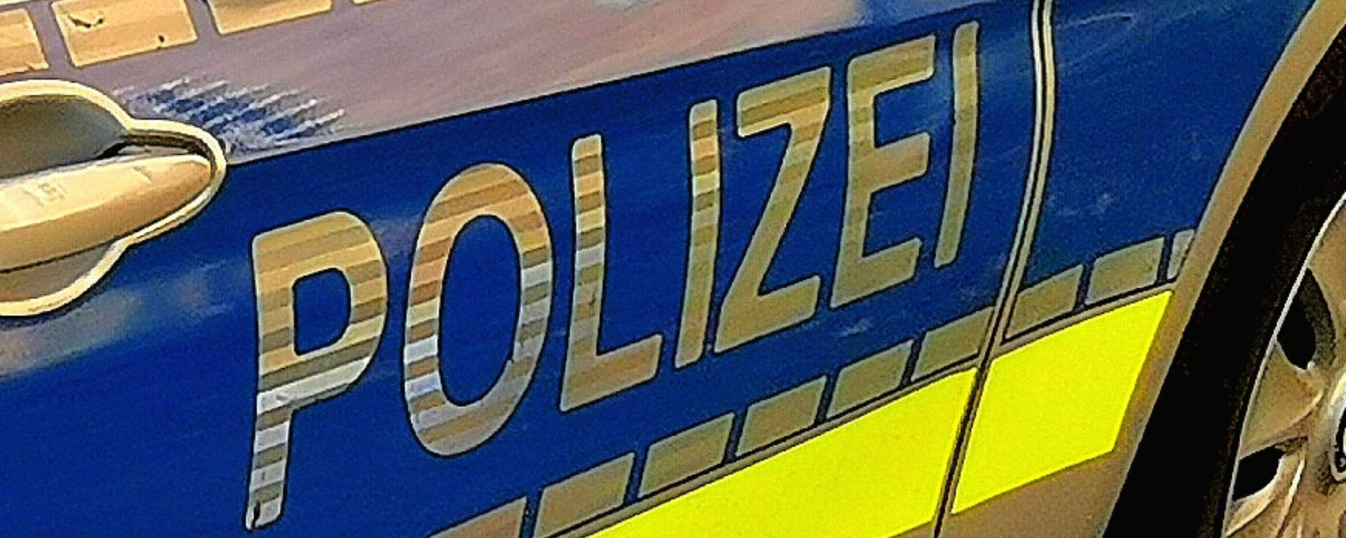 Polizeiliche Laufbahn